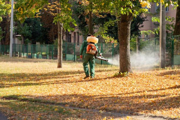 Best Mosquito Control Services  in New Baltimore, OH