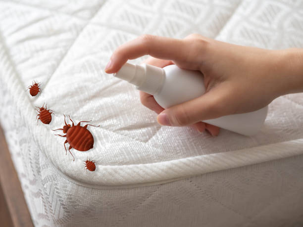 Best Pest Removal Services  in New Baltimore, OH